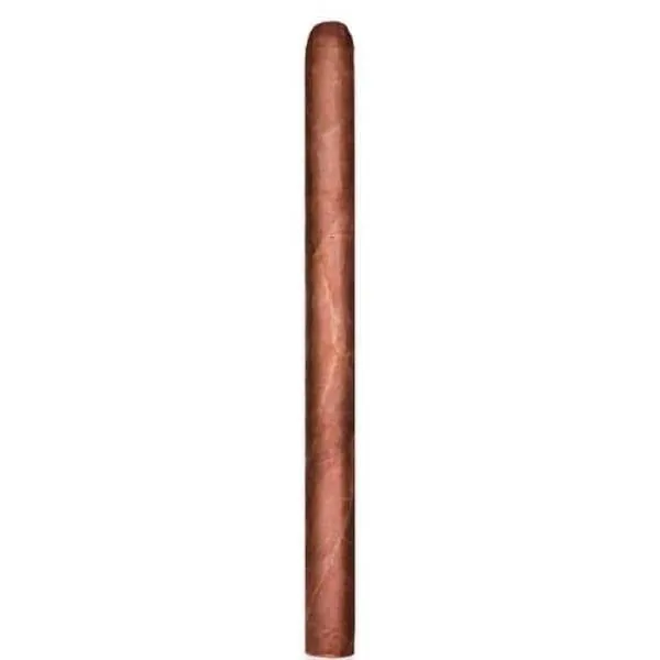 Confidenciaal  Lancero