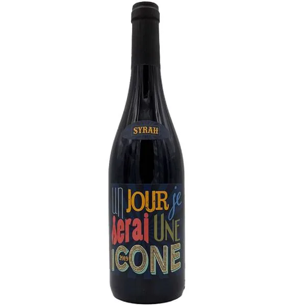 Jeff Carrel  Un Jour Je Serai Une Icone Syrah