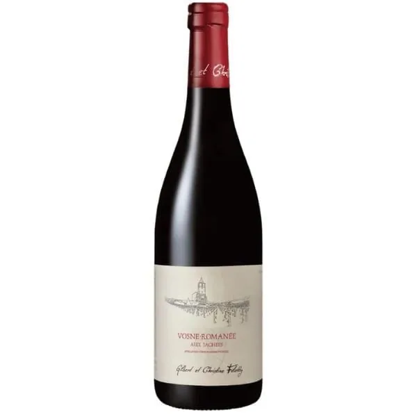 Domaine Gilbert et Christine Felettig Vosne-Romanee Aux Jachees