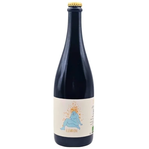 Domaine Coustarret Elevation Pet Nat